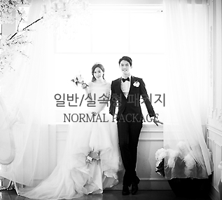 �Ϲ�/�Ǽ���